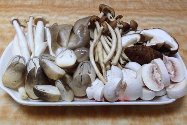 蘑菇的根能吃吗 吃蘑菇的注意事项