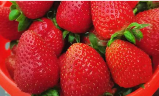 草莓追肥什么肥料？"