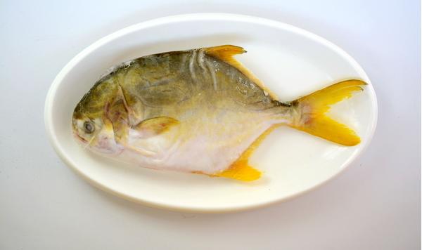 金鲳鱼的功效与作用及禁忌 金鲳鱼的营养价值