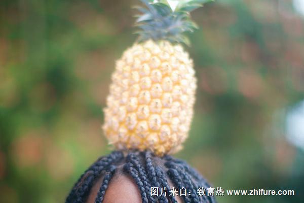 菠萝头发型编织方法"