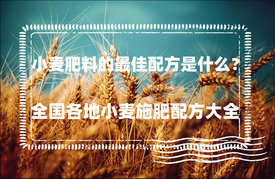 小麦肥料的最佳配方是什么？全国各地小麦施肥配方大全"