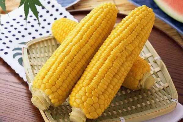 玉米种植技巧，施肥方法分享